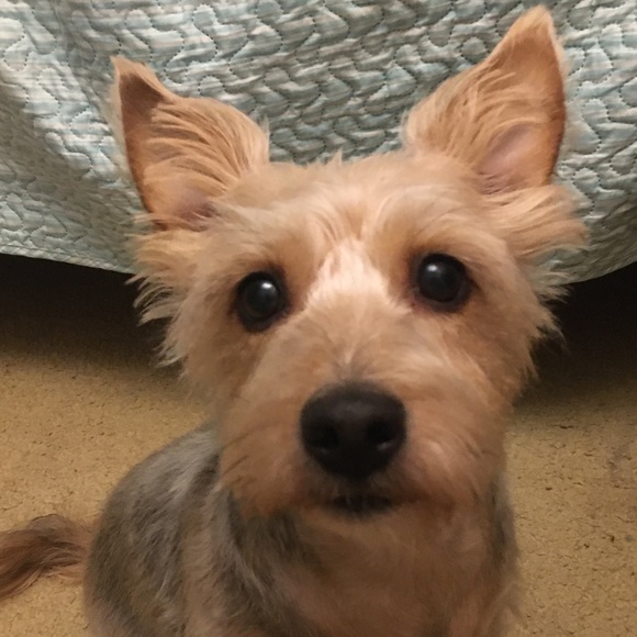 Meet your Posher, Jeani - Picture 2 of 2